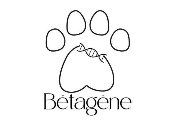 Bêtagène
